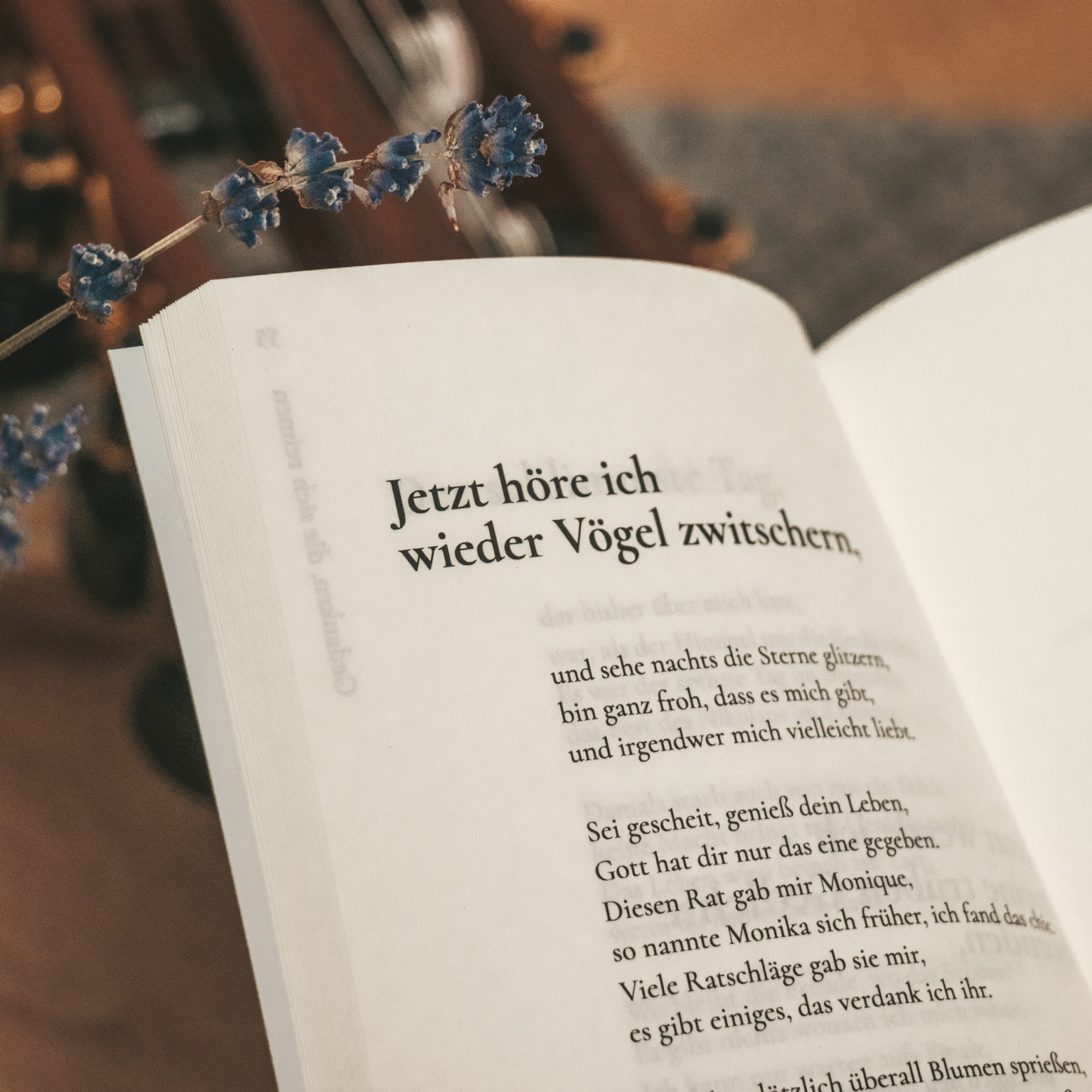 Buch Design aufgeschlagen